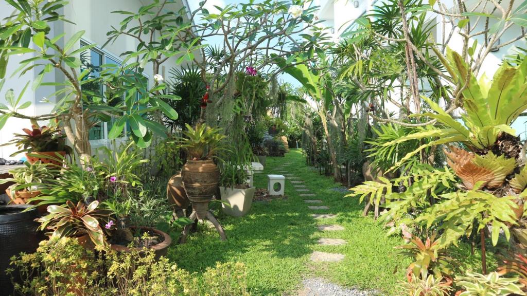 The Tree Samui photo 1