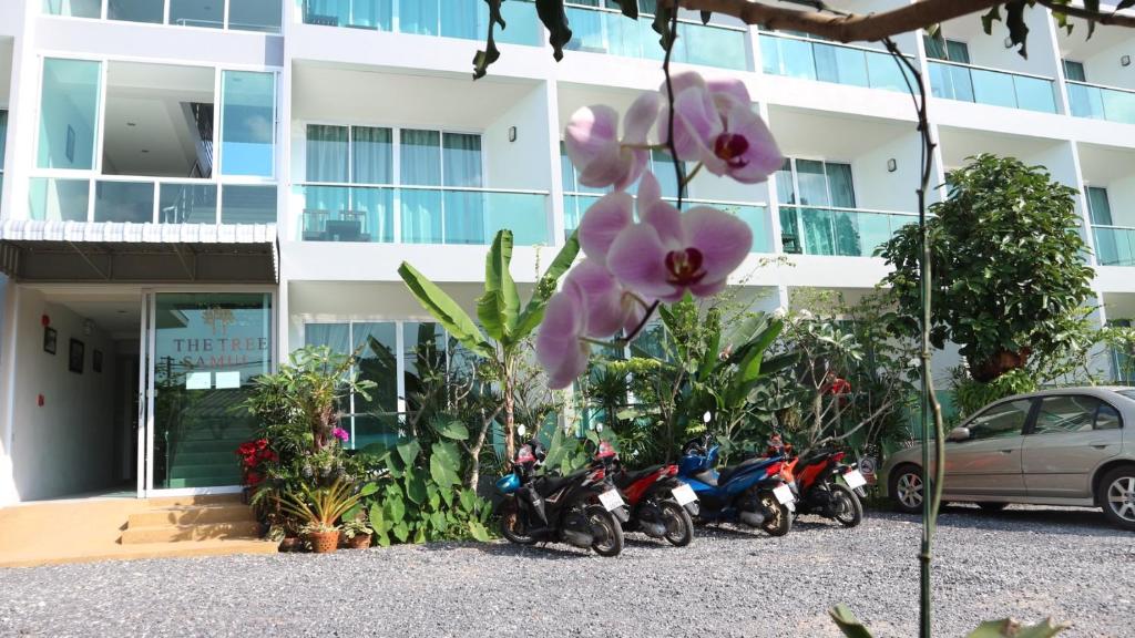 The Tree Samui photo 2