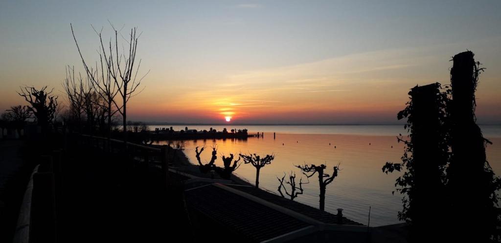 Camping Belvedere photo 4