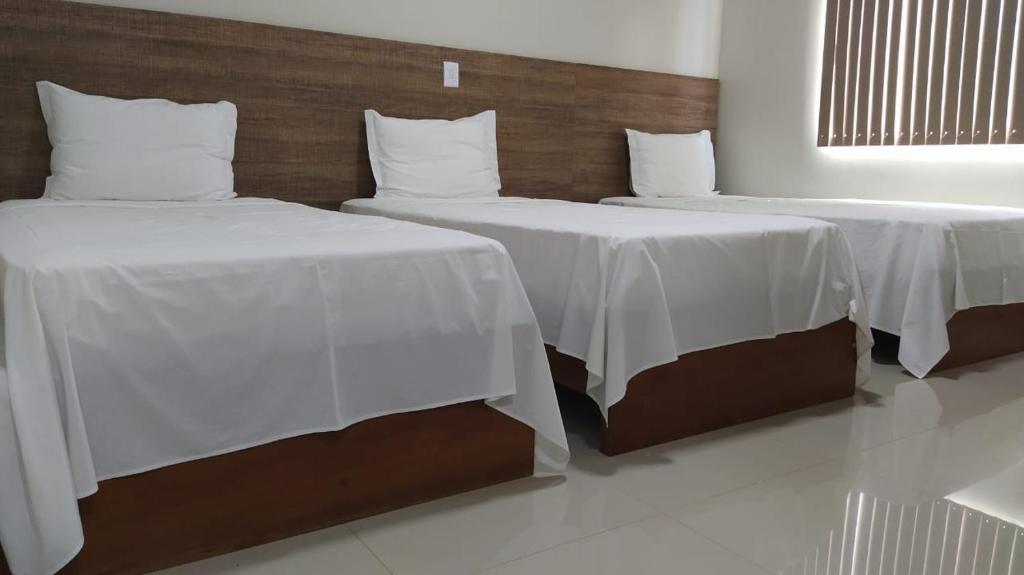 Planalto Palace Hotel photo 2