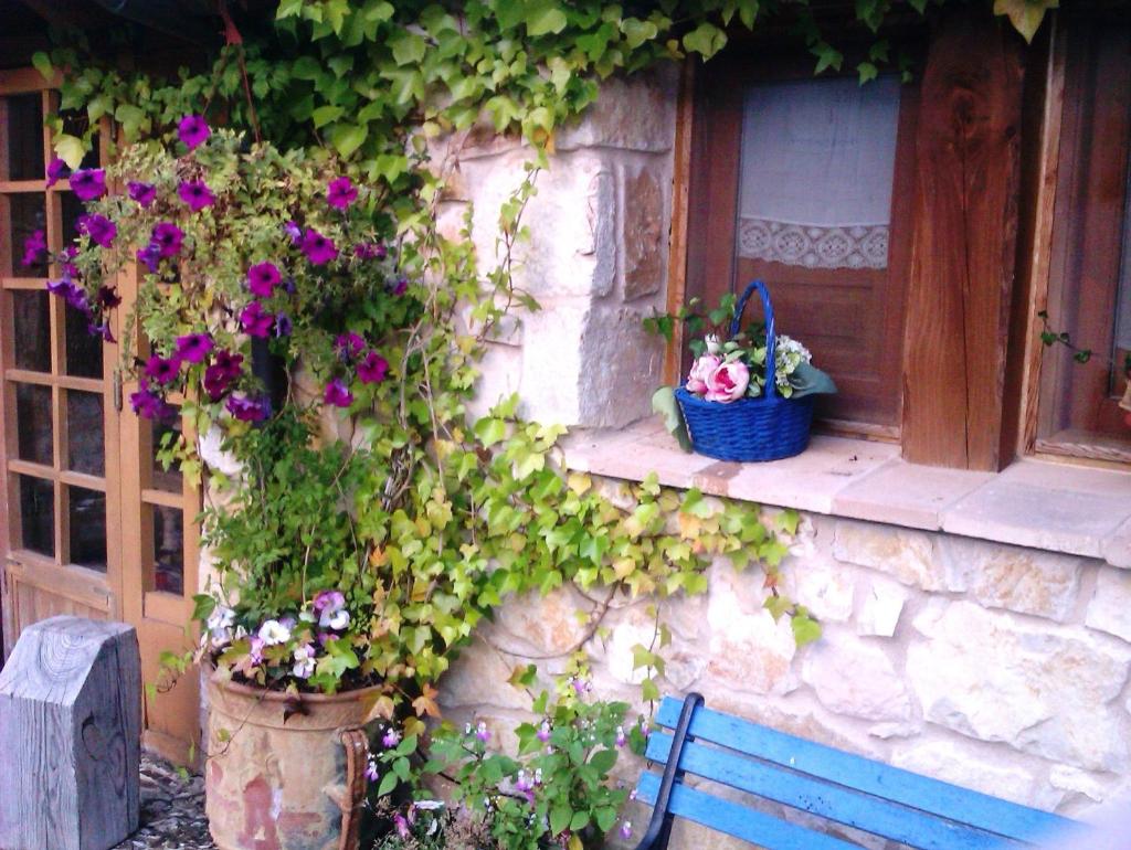 Casa rural Estrella Polar I photo 4