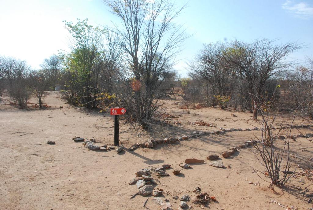 Oppi-Koppi Rest Camp photo 1