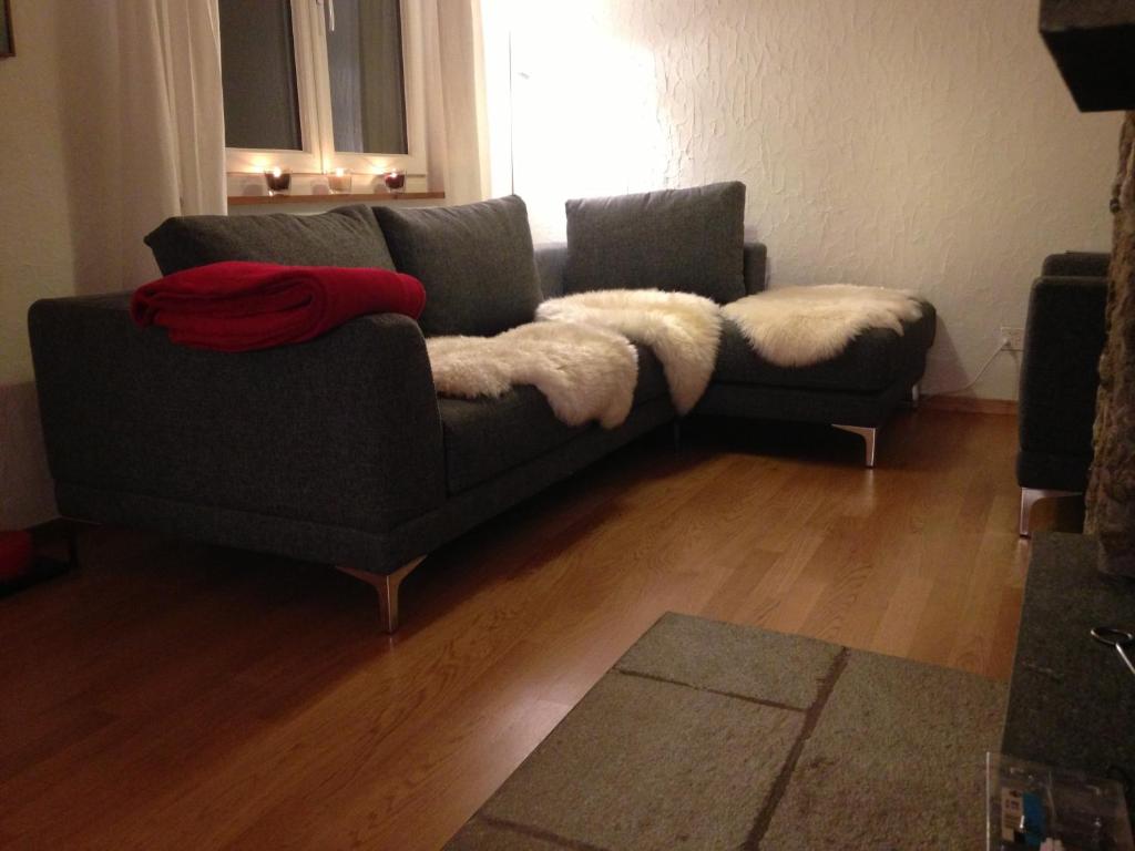 Chalet Crestannes photo 4