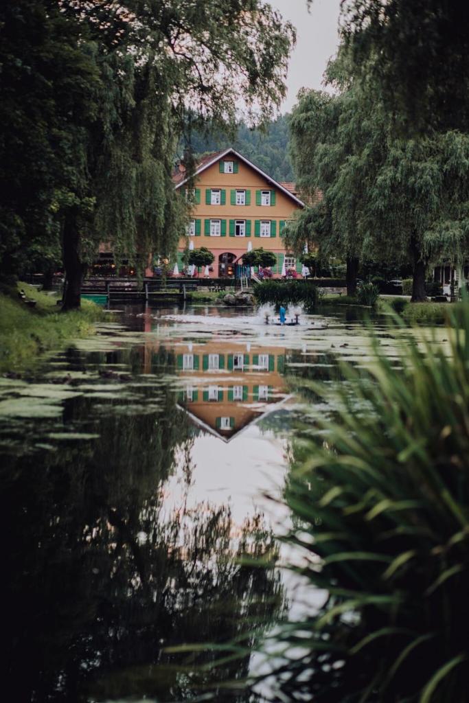 Hotel Zur alten Mühle photo 2