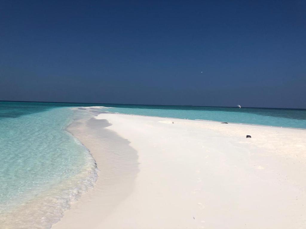 Canopus Retreat Thulusdhoo photo 4