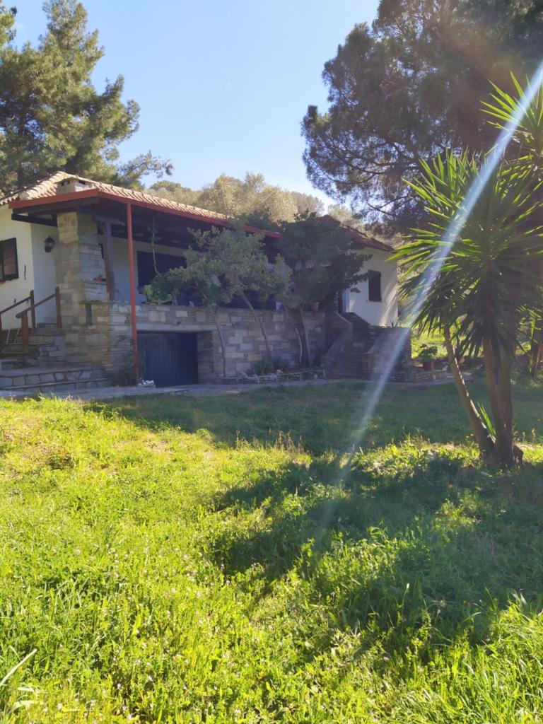 Casa Natura photo 4