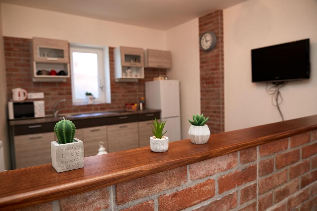 Apartman Biskupice photo 3