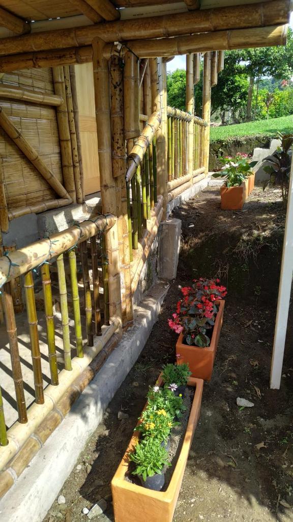 Arkdia Glamping Zone photo 2