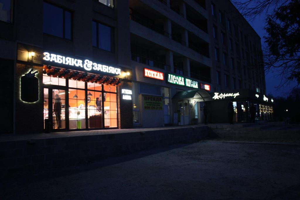 RP hotel Лісова пісня photo 2