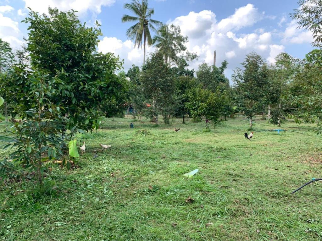 Taluangjit Resort&Garden photo 2