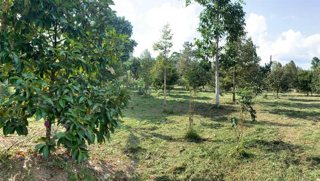 Taluangjit Resort&Garden photo 3