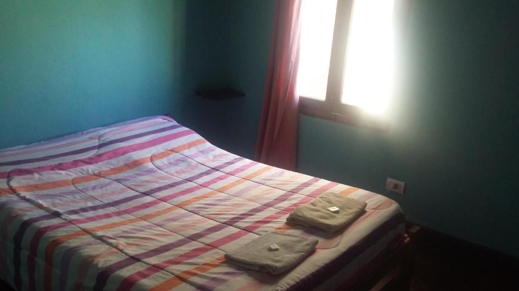 Pura Vida Hostel photo 3