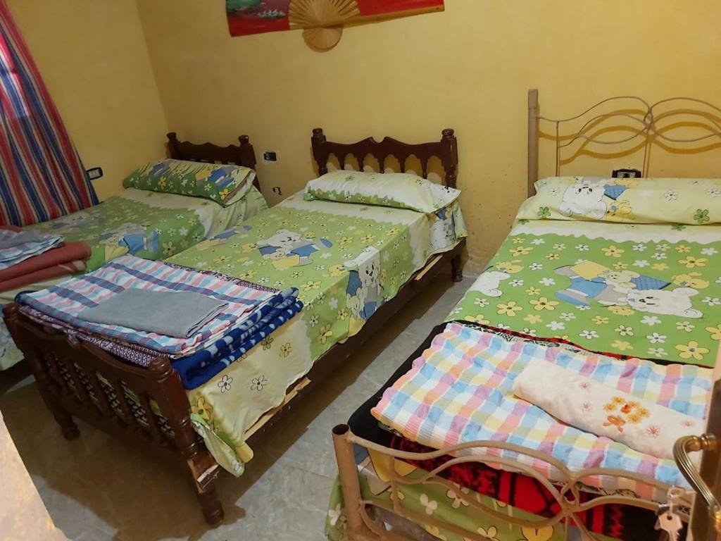 Otasho Nile view house Room Type - Double Room