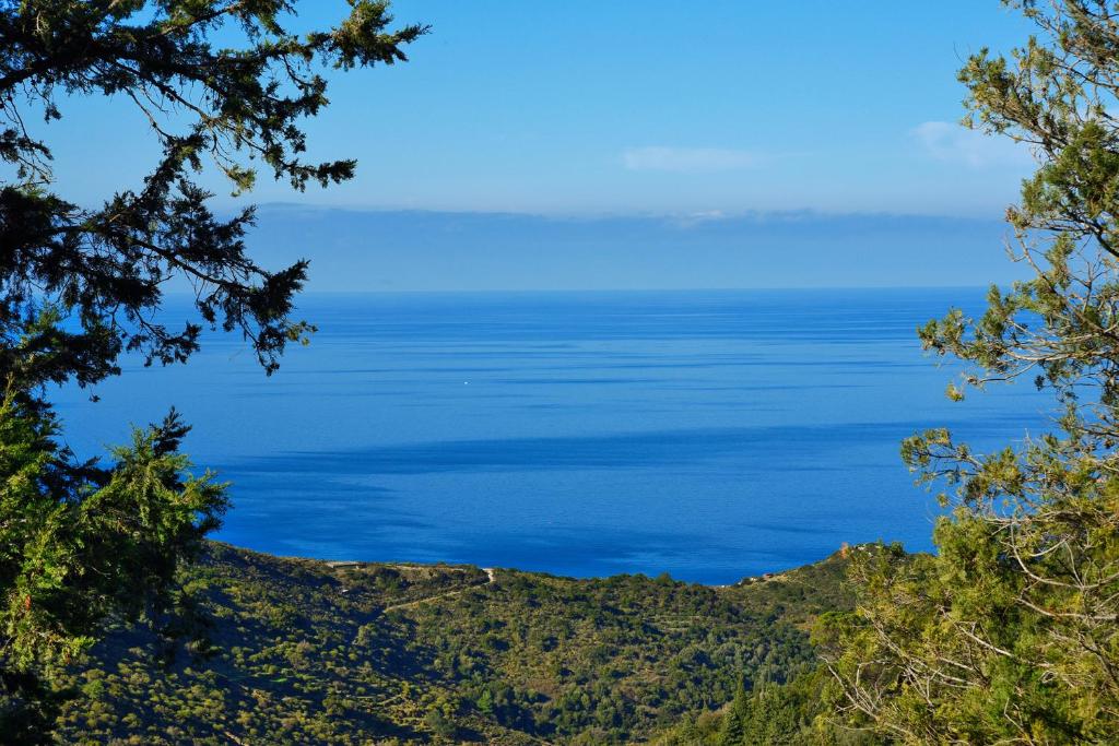 House in Εndless green - Arethousa, Ikaria photo 2