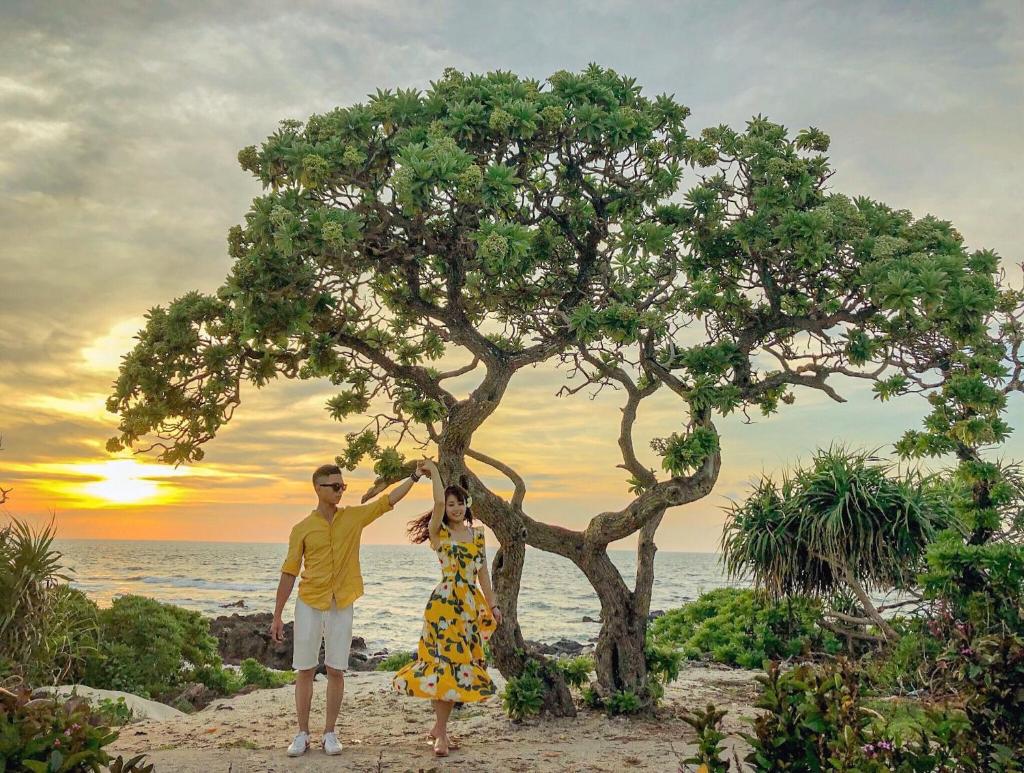 Thiên Trí Huyện Đảo Lý Sơn