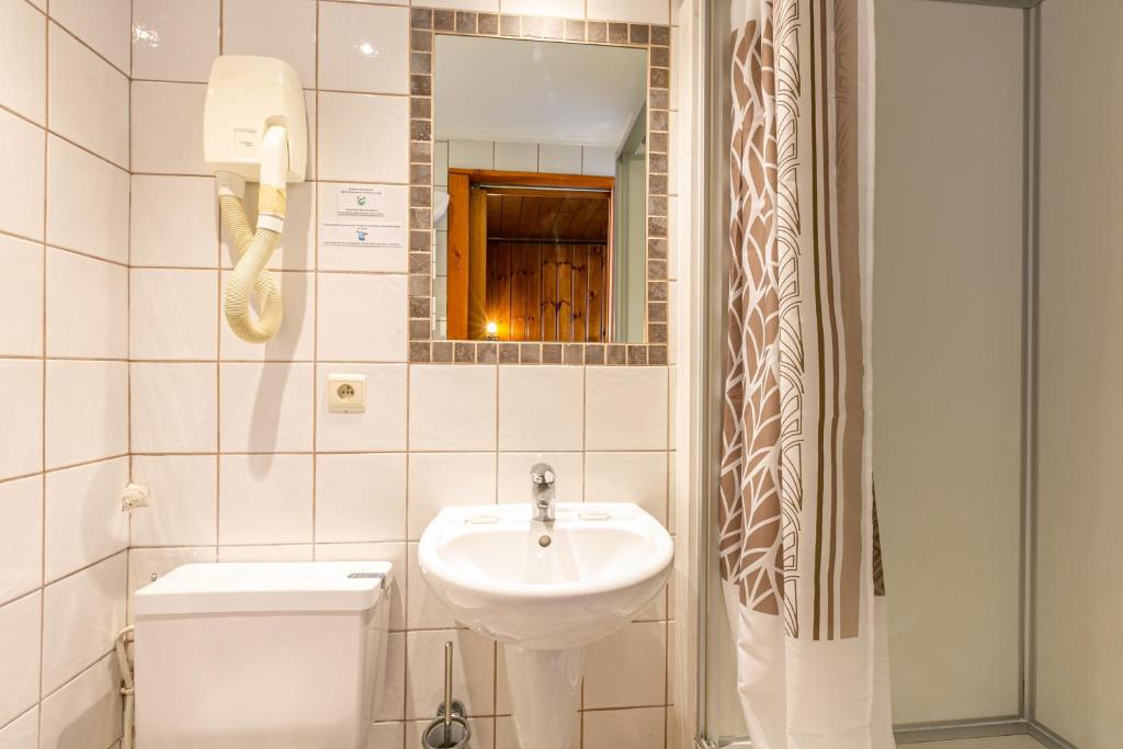 Двухместный (Небольшой двухместный номер с 1 кроватью), Hotel Le Chamonix