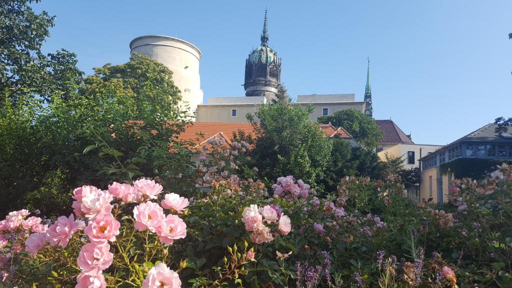 Fewo "Seerose" am Stadtpark photo 2
