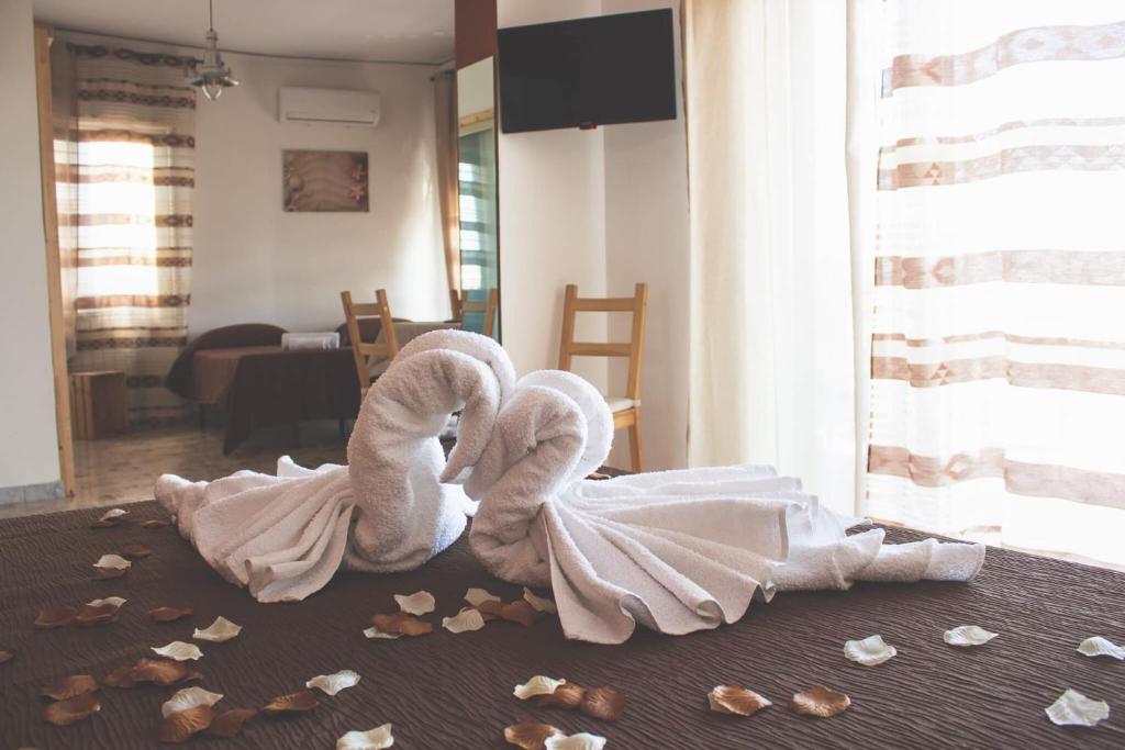 B&B Nettuno photo 4