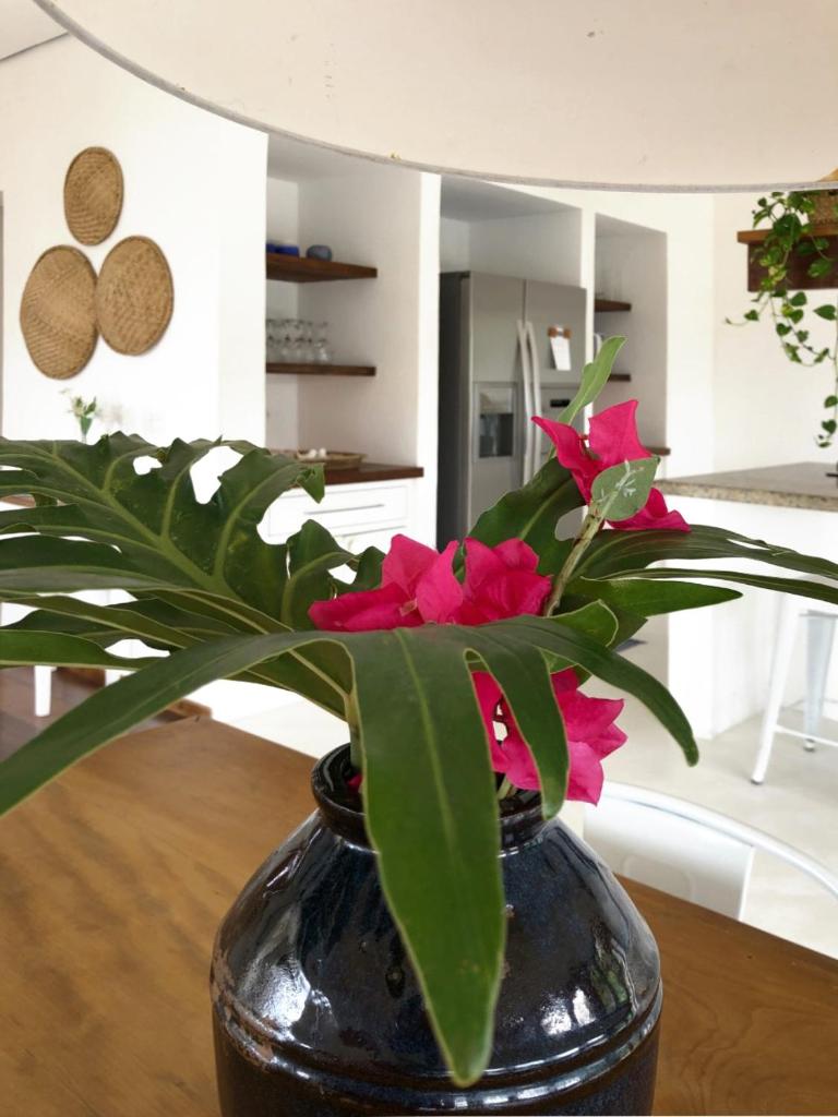 CASA PIÚVA photo 1
