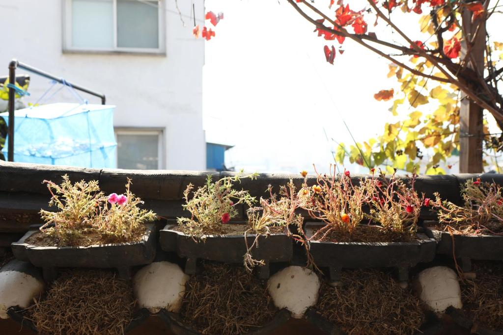 Bukchonmaru Hanok Guesthouse photo 4