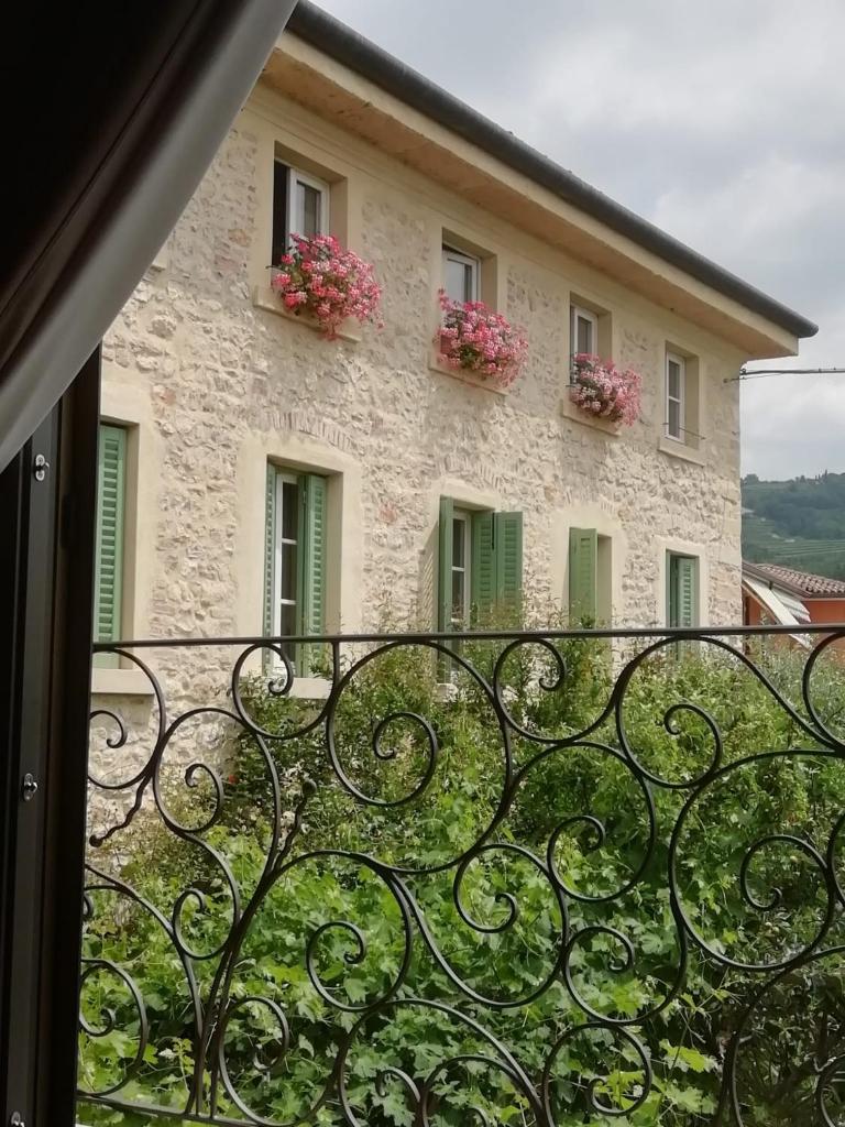 Corte Tre Vigne photo 1