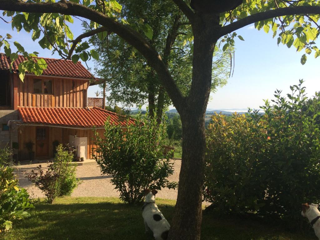 Gite colombe des bois photo 2