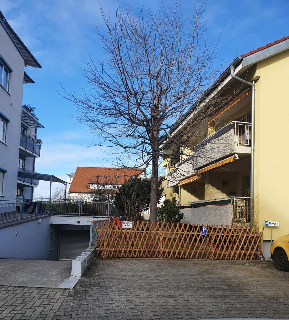 Business Apartment in Weil am Rhein photo 3