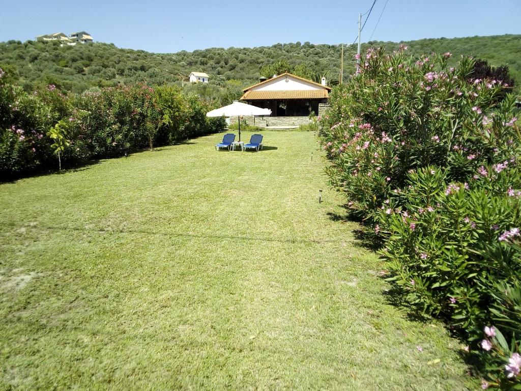 Ammouliani Villa and Studio PARADISE photo 4