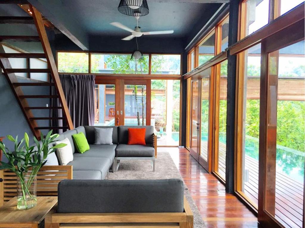 The Shorea photo 2
