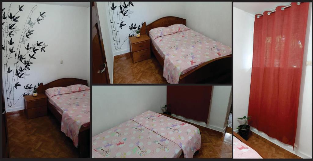 Backpacker Kitara House photo 4