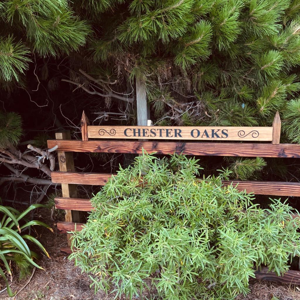Chester Oaks B&B photo 4