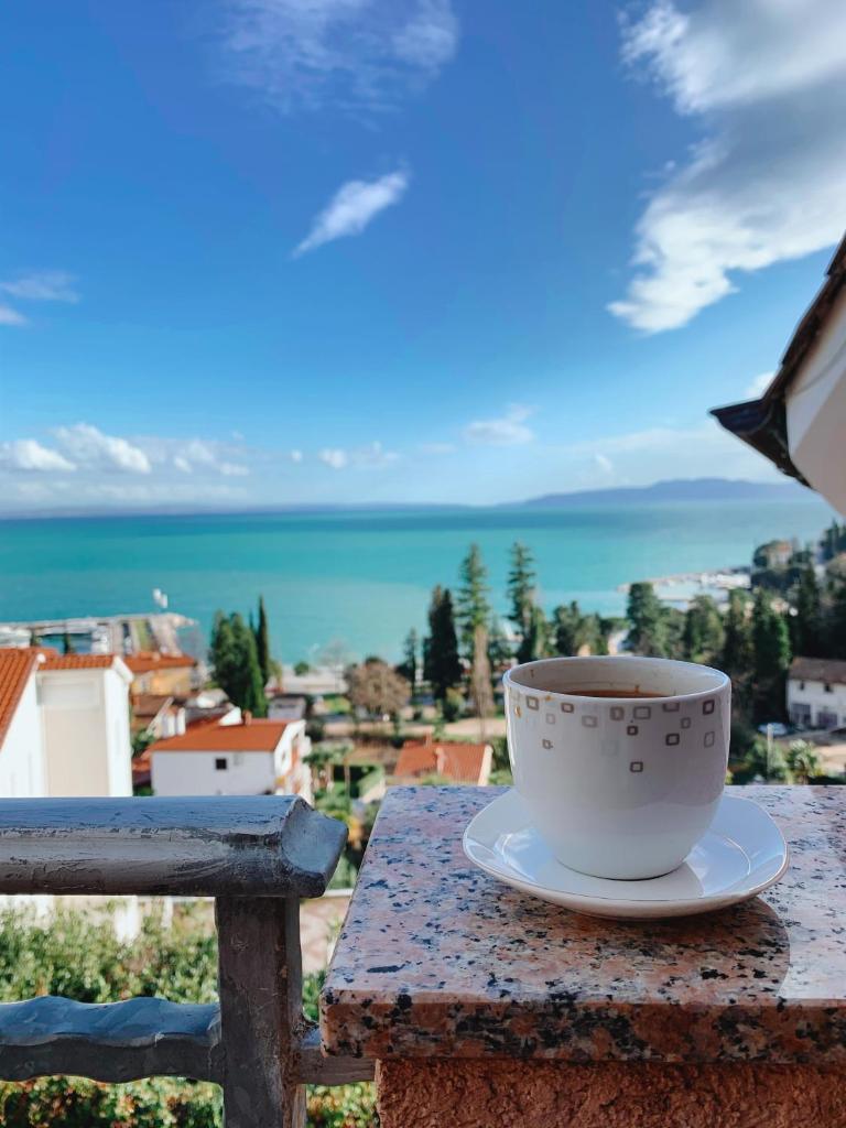 Villa Mihaela photo 2