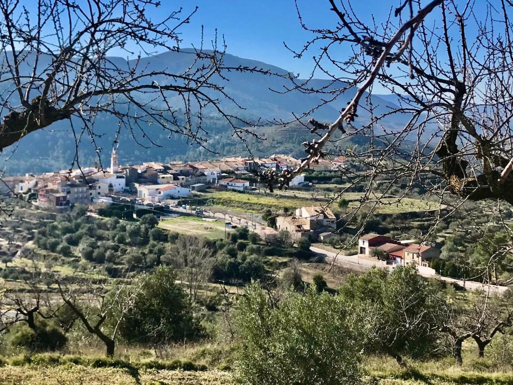 al-qandil photo 4