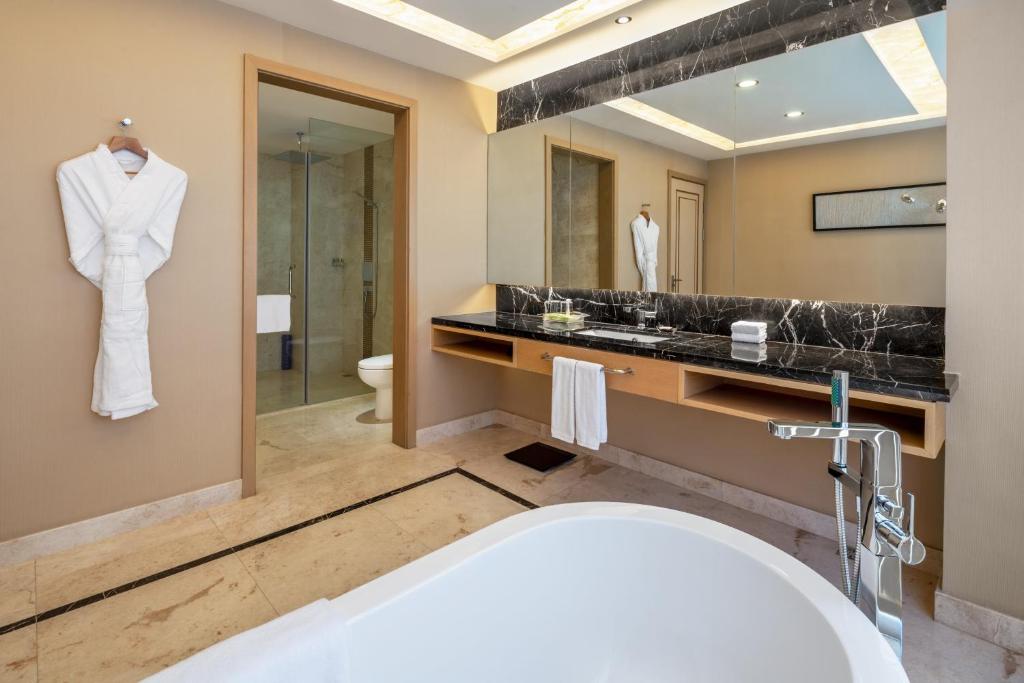 Двухместный (Номер Делюкс «Каникулы»), Holiday Inn & Suites Hulunbuir