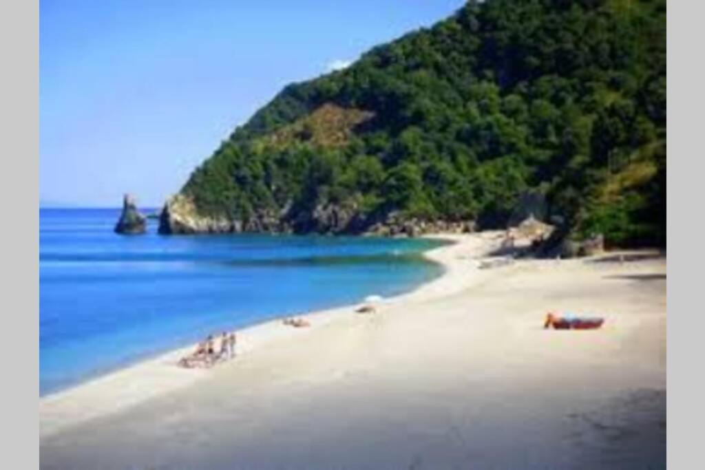 Lost Paradise photo 3