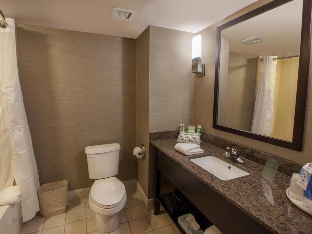 Holiday Inn Express Hotel & Suites Buffalo-Airport, an IHG Hotel image