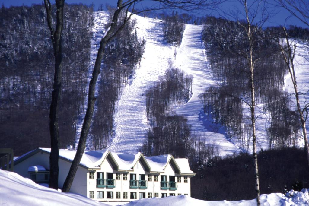 Hotel Stoneham photo 3