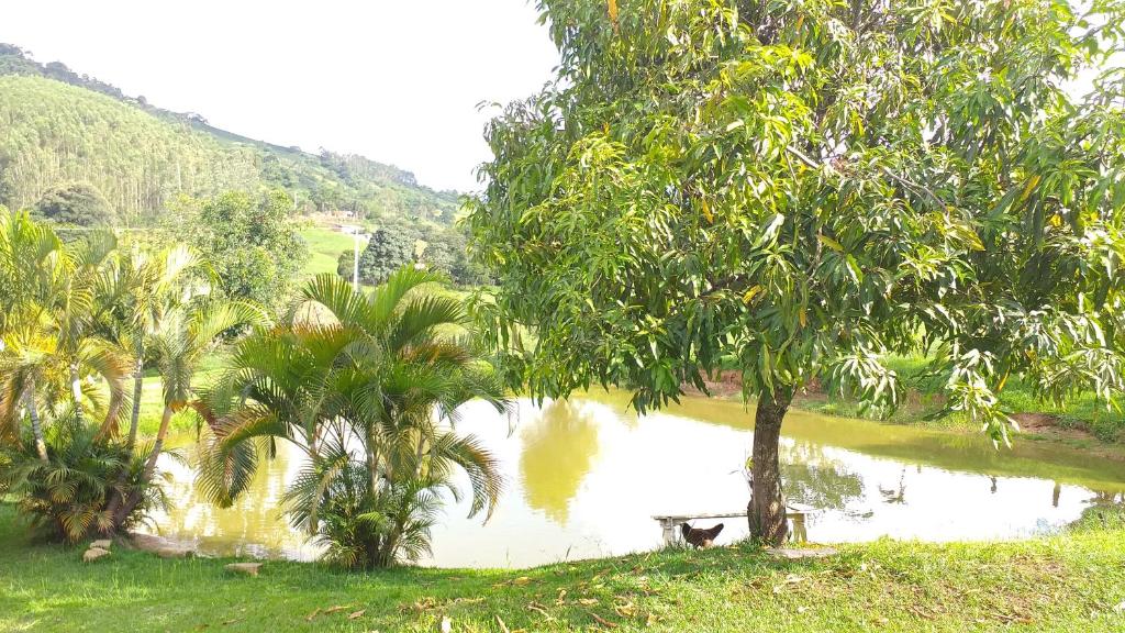 CHACARA RECANTO PARAISO photo 4