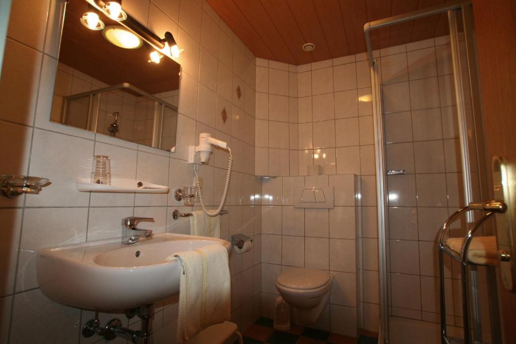 Одноместный (Одноместный номер), Hotel Engl