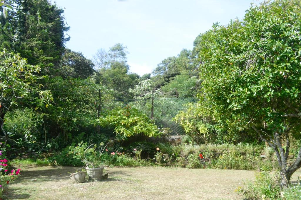 Samri Holiday Bunglow photo 1