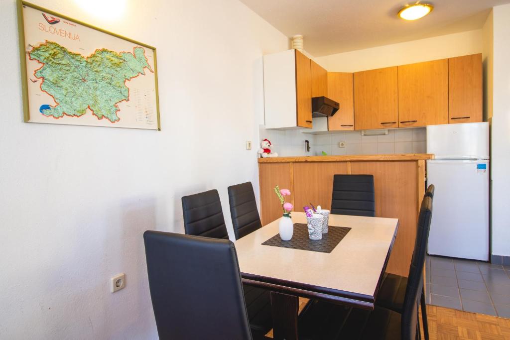 Extraordinary apartment in Terme Banovci spa resort photo 2