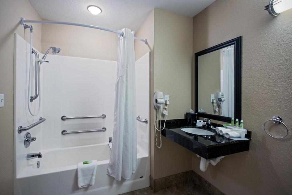 Holiday Inn Express & Suites Green Bay East, an IHG Hotel image