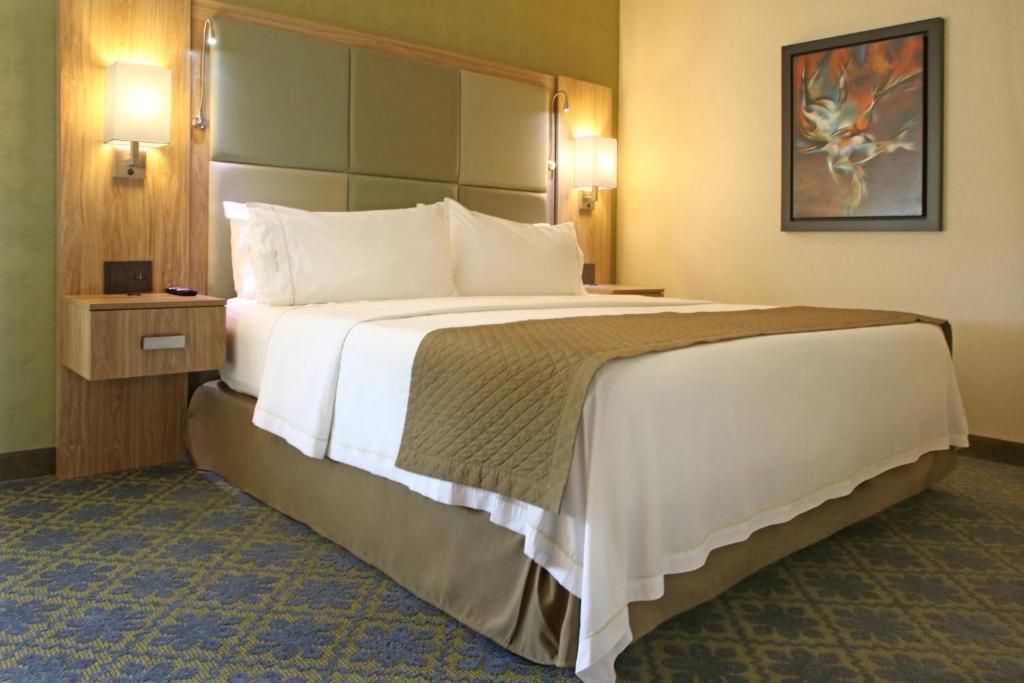 Holiday Inn Express & Suites Cuernavaca, an IHG Hotel photo 4