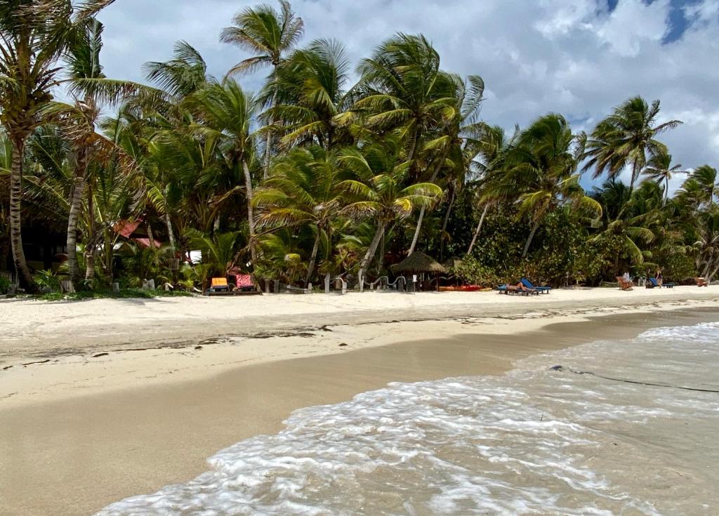 Little Corn Island Beach and Bungalow photo 3