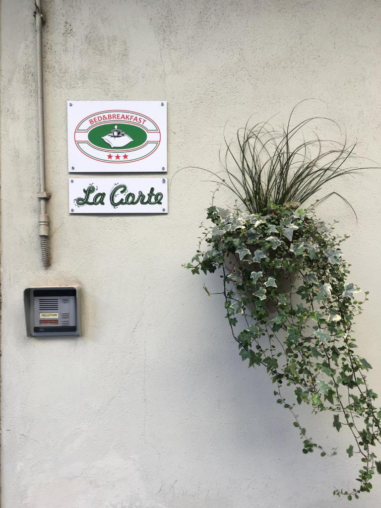 La Corte photo 3