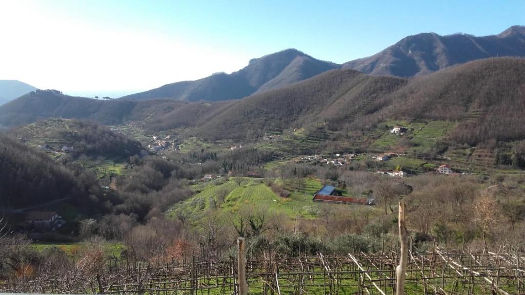 La Casa in Vigna photo 1