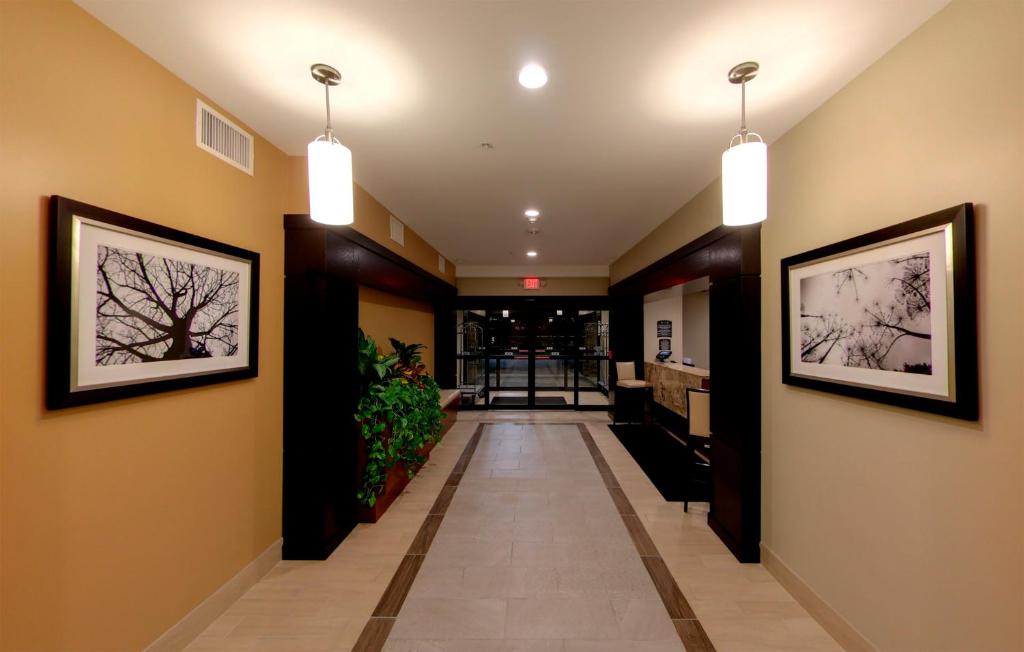 Staybridge Suites Ann Arbor - Research Parkway, an IHG Hotel photo 3