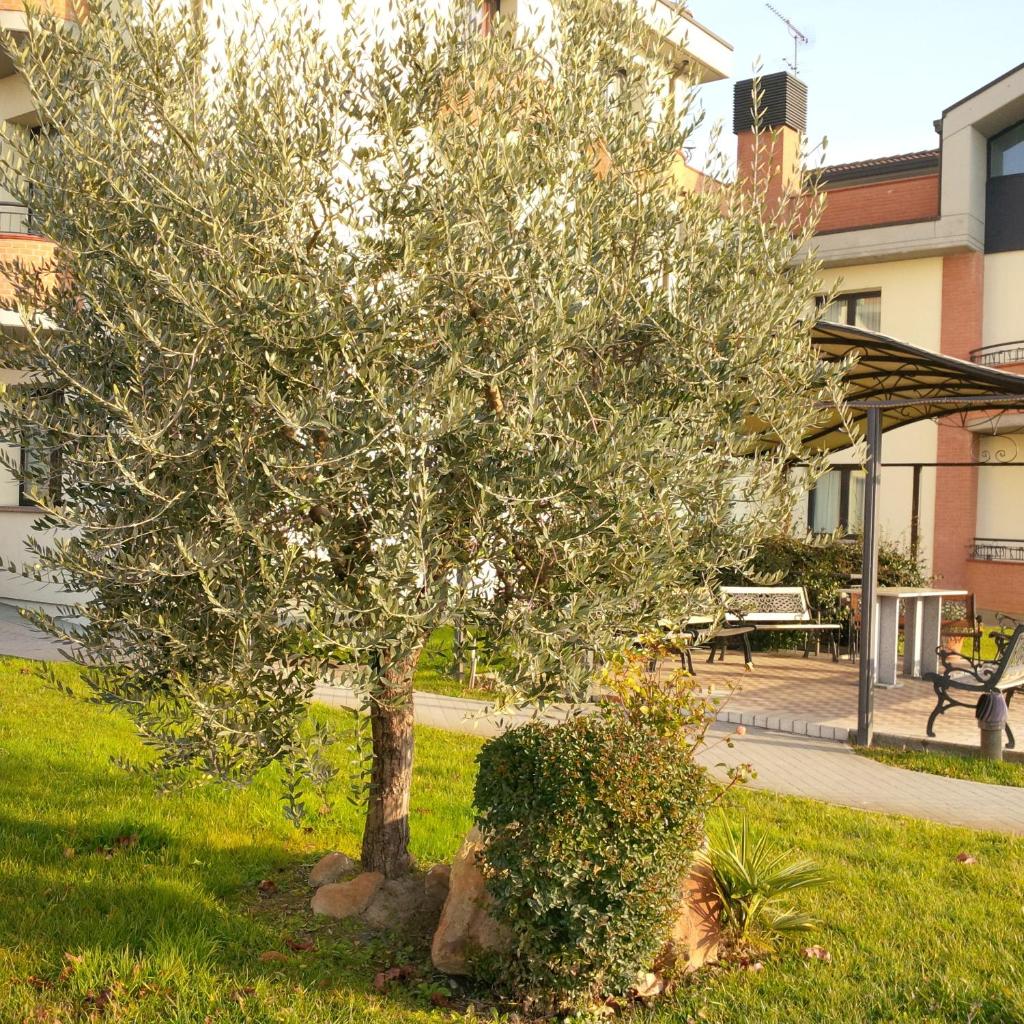 Hotel Da Vito photo 3
