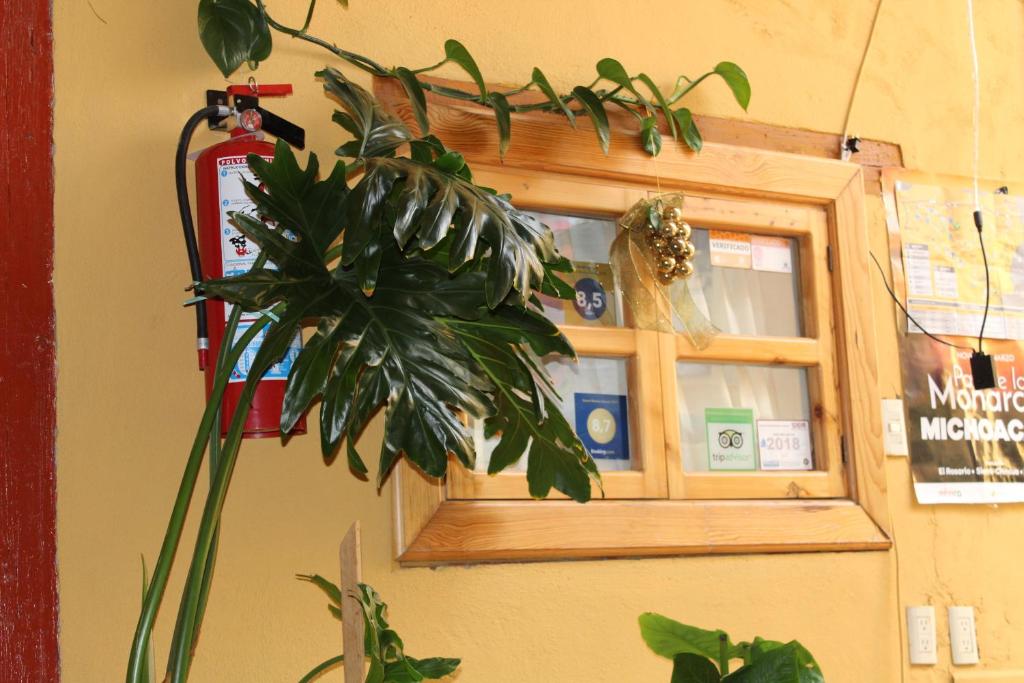 Hotel Plaza Mayor photo 4