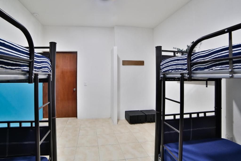 Номер (Кровать в общем 4-местном номере для мужчин и женщин), Ten to Ten Puerto Vallarta